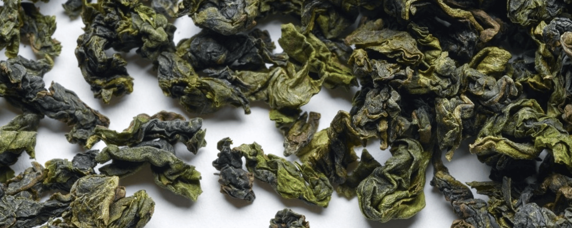 tè oolong
