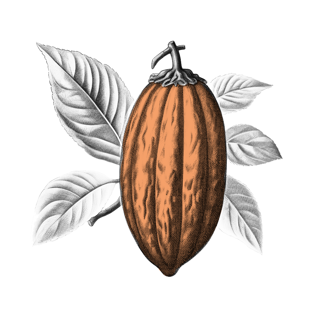 illustrazione-cabossa