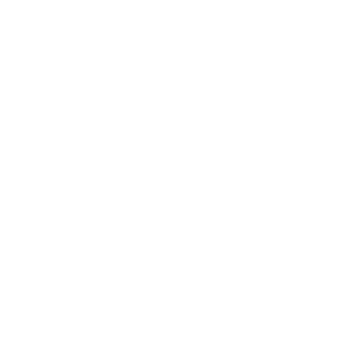 logo Domori