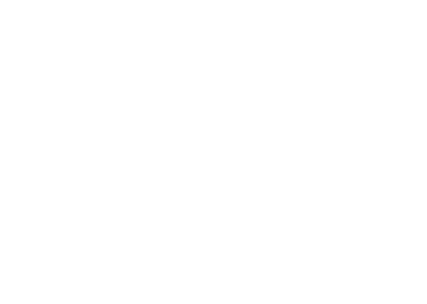 logo Duca