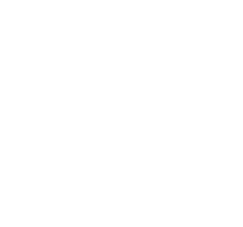 logo I&P