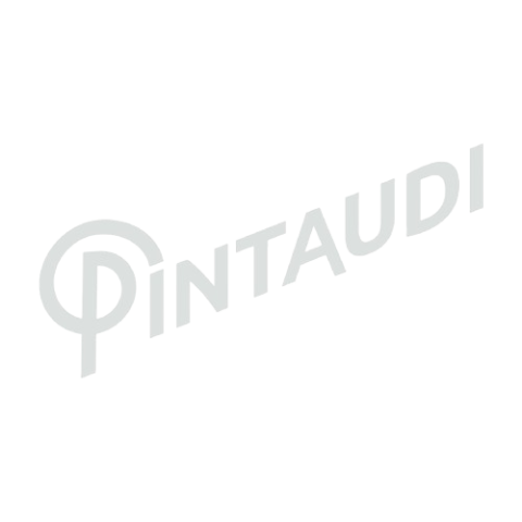 Logo Pintaudi bn