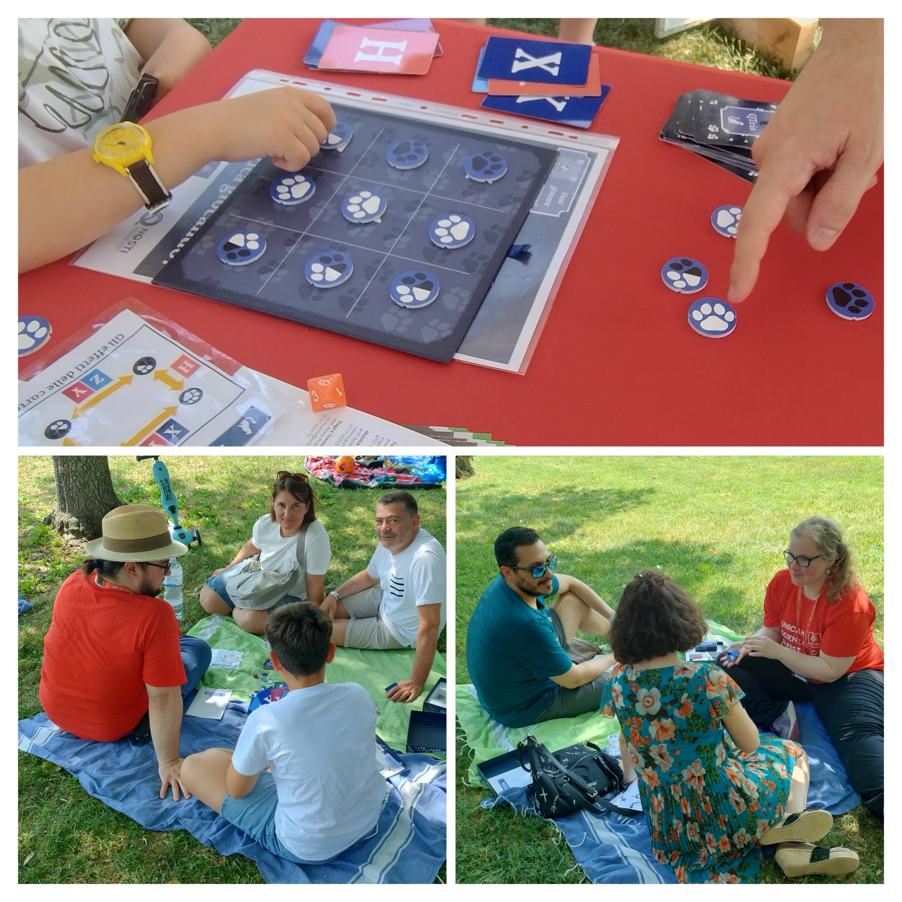 Fasi di gioco