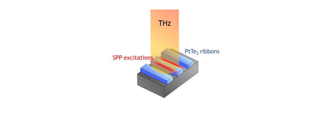 Generation of unconventional electronic dynamics on a new type of exotic material known as platinum ditelluride.